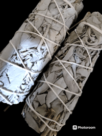 White Sage 