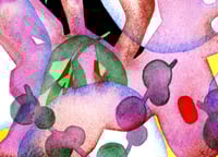 Image of Letters in the jungle 02