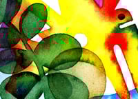 Image of Letters in the jungle 04
