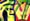 Image of Letters in the jungle 07