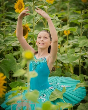 Image of Sunflower Mini Sessions
