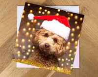 Cavapoo Christmas Card. Great Xmas card for dog lovers!