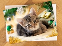 Cat Christmas Cards, Kitten Christmas Card. Great Xmas card for cat lovers!