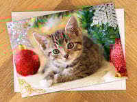 Cat Christmas Cards. Cute Kitten. Great Xmas card for cat lovers!