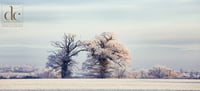 Snow Scene in Much Hadham #2 - Quality Photographic Print 