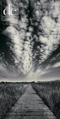 Snape Print. Boardwalk At The Snape Maltings. Quality Photographic Print 