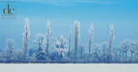 Snow Scene in Much Hadham -  Photographic Art Print 