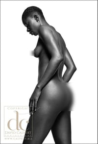 Image 1 of Fine Art Nude Giclee Print - Black on White #8 - Ltd Edition Fine Art Print