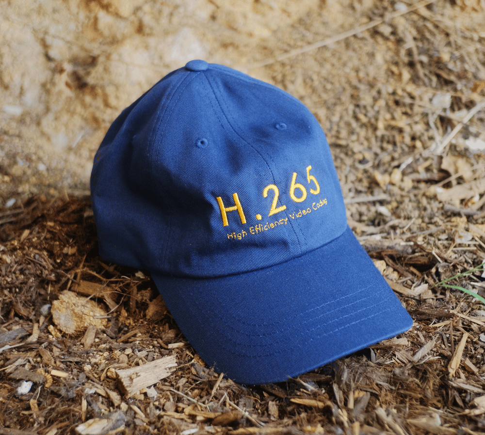 Image of CODEC HATS *NEW H.265*