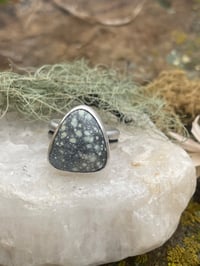 Image 1 of Starry Skies Variscite Ring