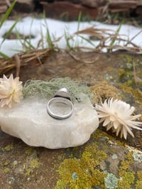 Image 4 of Starry Skies Variscite Ring