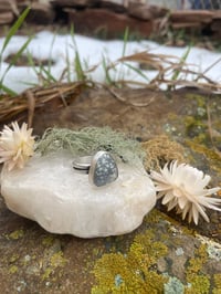 Image 5 of Starry Skies Variscite Ring