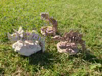 Image 1 of Skeleton Dinosaur with Stand