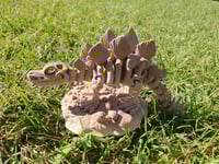 Image 2 of Skeleton Dinosaur with Stand