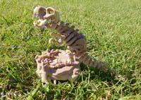 Image 4 of Skeleton Dinosaur with Stand