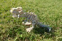 Image 1 of Large Skeleton T-rex 