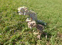 Image 2 of Large Skeleton T-rex 