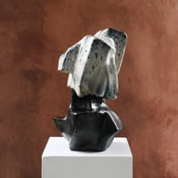 Image 3 of BUST