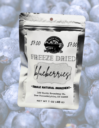 Freeze Dried Pure Blueberries 1 oz