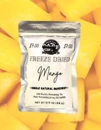 Freeze Dried Pure Mango Slices