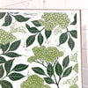 Bronte Adam Print - 'Hartridges Elderflower'