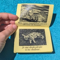 Image 2 of 4 fanzines animaliers - Angèle Douche