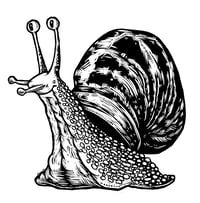 Image 5 of Snail T-shirt **FREE SHIPPING**