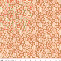 Image 1 of Orange Pumpkins from Autumn Afternoon