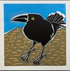 Original Linocut 'Australian Pied Currawong' (4 left)