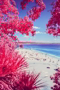Summer in Infrared