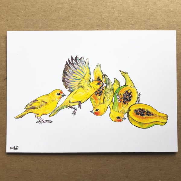 Image of Payabird 5”x7” laserprint 