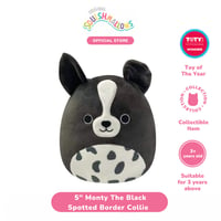 Squishmallows Monty The Black Spotted Border Collie 5 Inch - Boneka