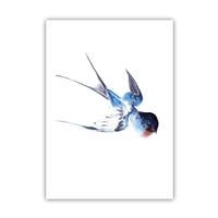 Image 1 of Postkaart zwaluw
