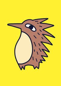 Echidna