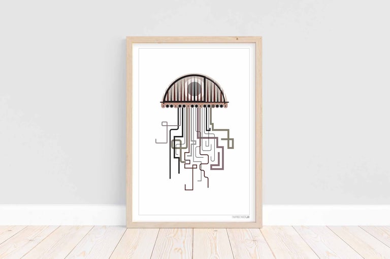 Jellyfish