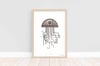 Jellyfish