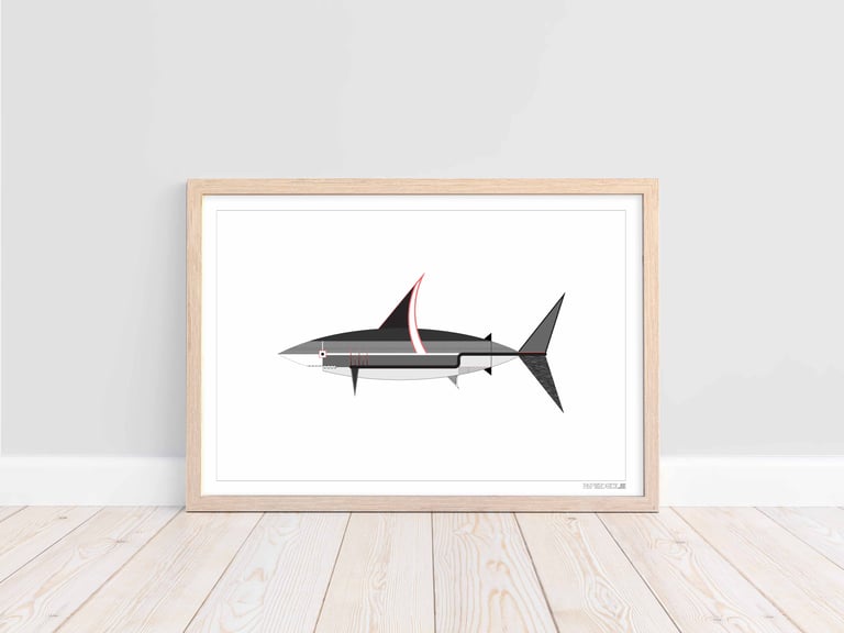 Shark