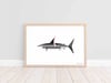 Shark