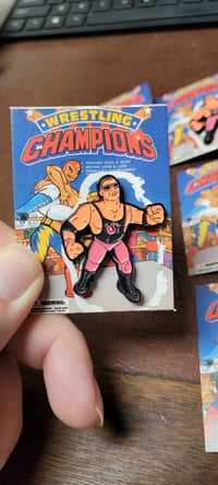 Image 1 of DANNY FLAMINGO RETRO PIN