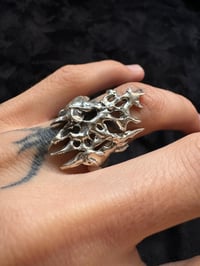 Image 1 of vellum growth ring