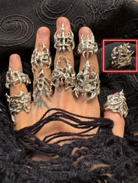 Image 4 of vellum growth ring