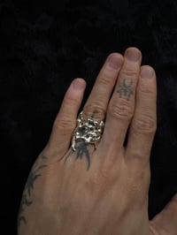 Image 2 of tessellate tissue ring