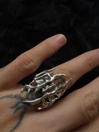 Image 2 of dualspike ring