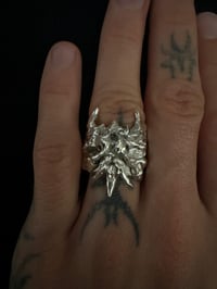 Image 2 of ducter ring