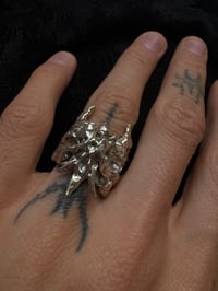 Image 1 of ducter ring