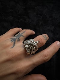 Image 3 of femto ring