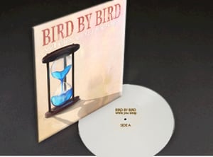 Image of Limited Edition 12" Vinyl - While You Sleep + Digital Download