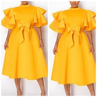 Sasha mango yellow 