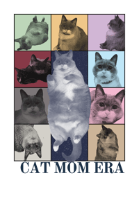 Image 1 of Custom Era Graphic