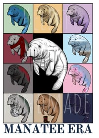 Image 2 of Custom Era Graphic